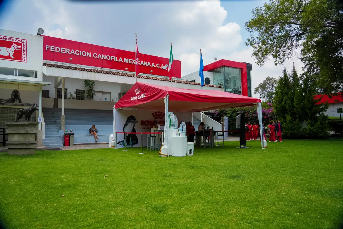 FEDERACIÓN CANÓFILA 13